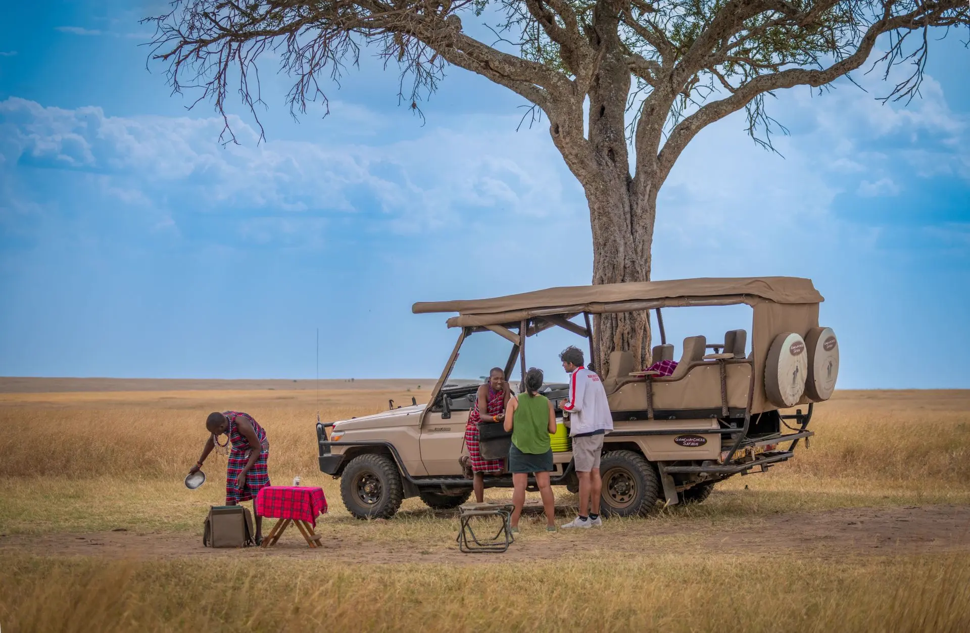 Safari landscape in East Africa